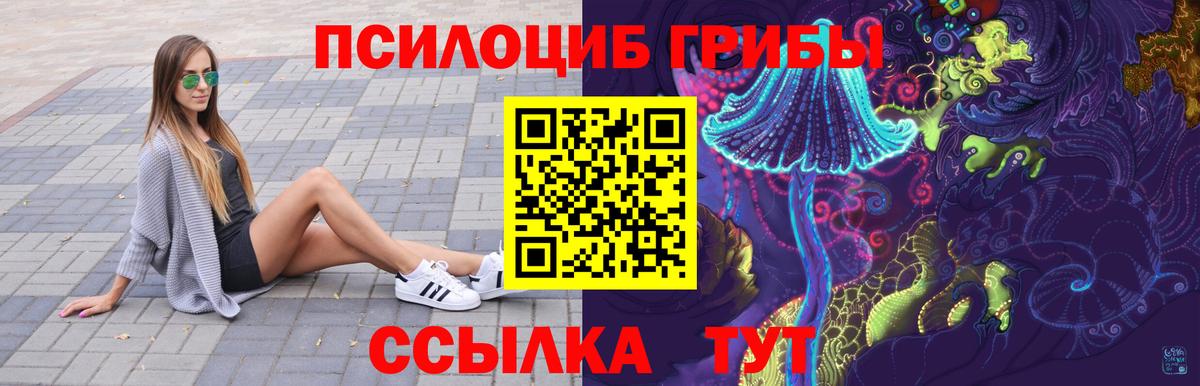 где купить наркоту  Псилоцибиновые грибы Cubensis  Донской  Вход с VPN  Псилоцибиновые грибы Cubensis 