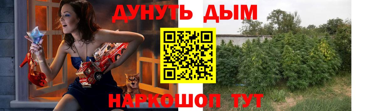 Марихуана гибрид  Шишки марихуана THC 21%  Марихуана планчик  Вход с VPN  Бошки марихуана THC 21%  Донской 