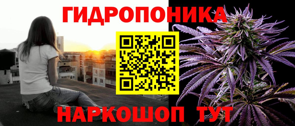 Бошки марихуана конопля Донской